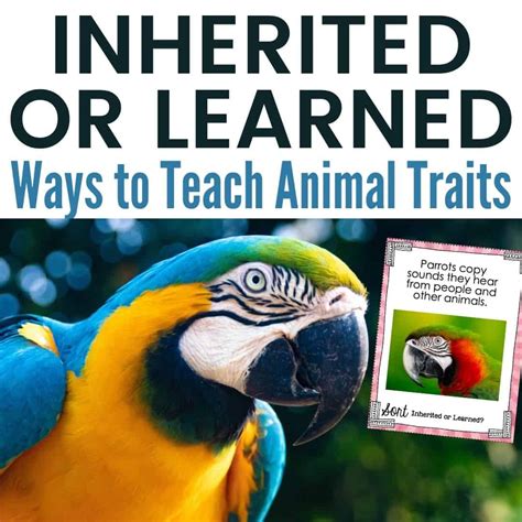 Difference Between Inherited & Learned Traits with Examples