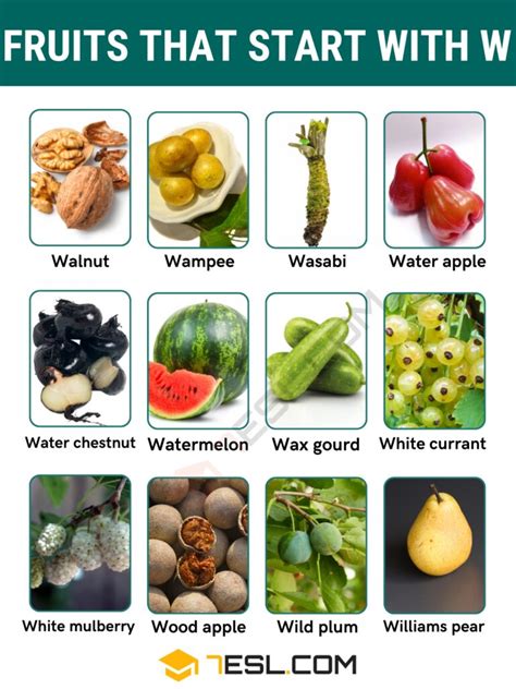 Fruits that Start with W in English • 7ESL