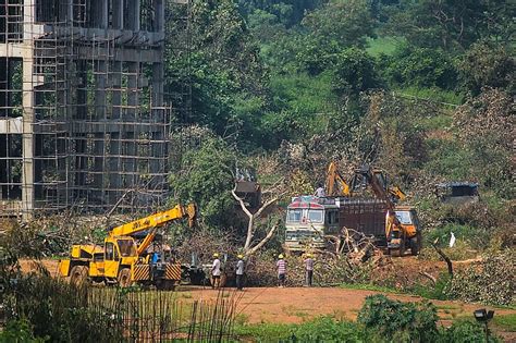 Mumbai: Tribal community in Aarey unhappy with new projects, say ...