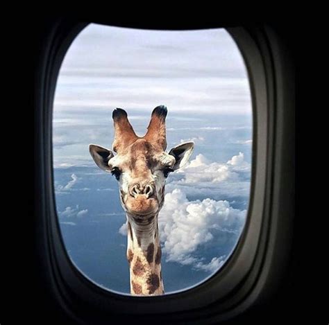 Image result for Spring Break ZIL