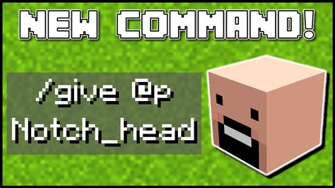 How to Get a Custom Player Head in Minecraft 的图像结果