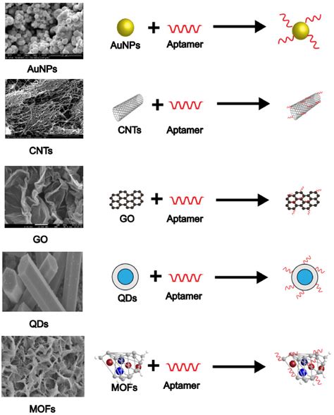 Application of Nanomaterial Modified Aptamer-Based Electrochemical ...