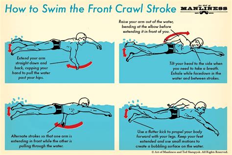 Front Crawl Swimming 的图像结果