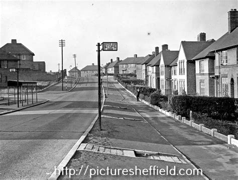 Searching Picture Sheffield