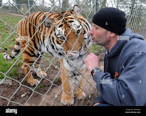 Benjamin mee dartmoor zoo hi-res stock photography and images - Alamy