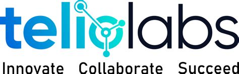 Best IT Solution Company in India | Niche Integrated Techno Solution ...