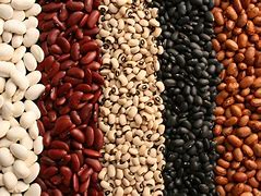 Beans 的图像结果