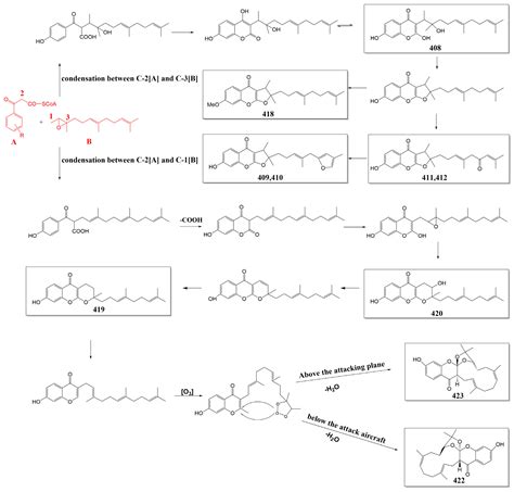 Sesquiterpenes and Sesquiterpene Derivatives from Ferula: Their ...