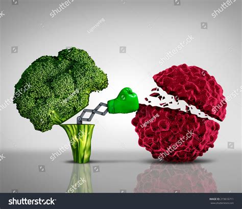 4,447 Carcinogenic Foods Images, Stock Photos & Vectors | Shutterstock