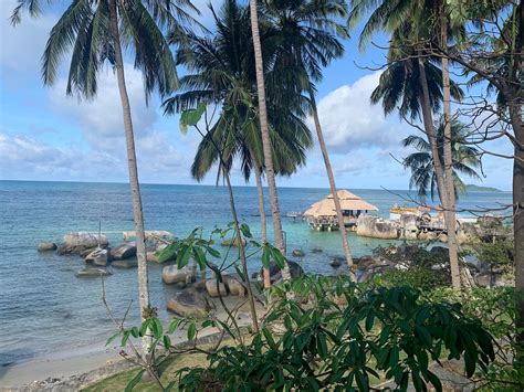 ADIWANA JELITA SEJUBA NATUNA (Sepempang) - Hotel Reviews, Photos, Rate ...