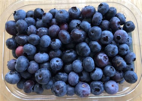 It’s Blueberry Season! - Seeds2Plate
