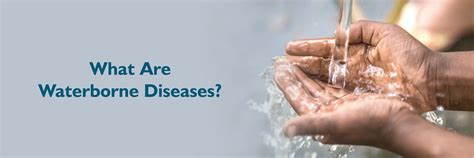 Waterborne Diseases: Symptoms and Prevention