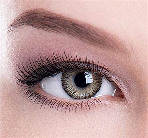 Buy Royal Empire Color Contact Lens brown with case and solution Zero ...