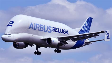 L'Airbus A300-600ST ou l'avion « Beluga » - Photos Futura