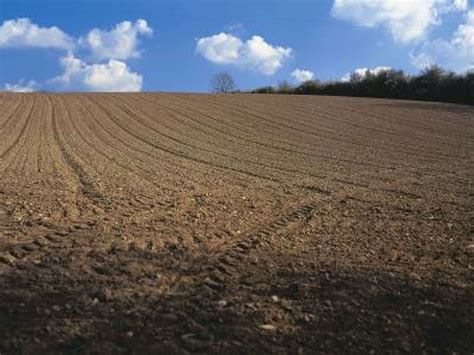 Undeveloped Land 的图像结果