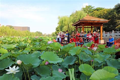 许昌市老年大学在护城河畔举行写生活动-许昌网