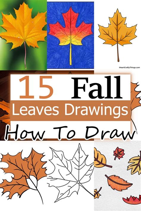 Image result for Fall Leaves Drawing
