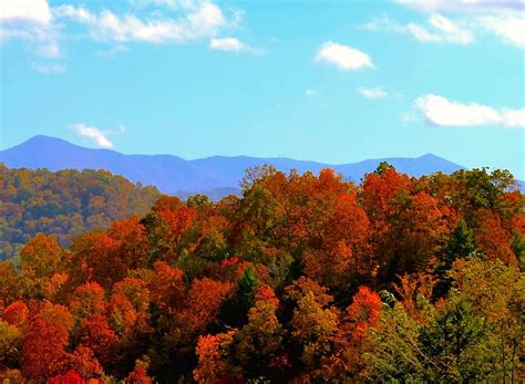 Autumn NC Mountains Wallpapers - Top Free Autumn NC Mountains ...