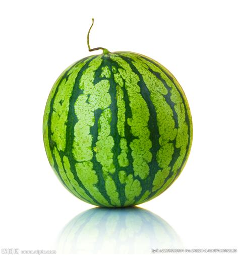 西瓜品种十大排行榜 最好的西瓜品种有哪些 - 鲜淘网