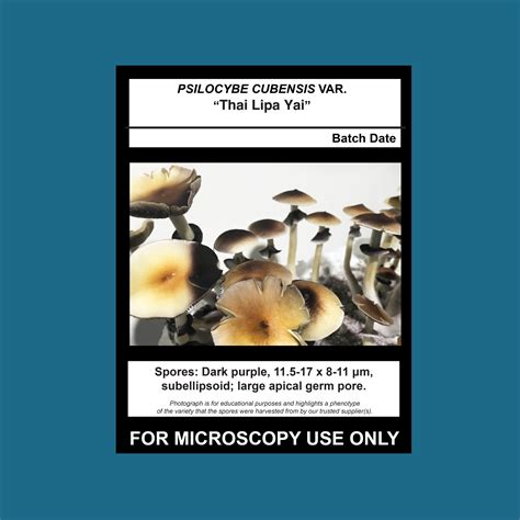 Thai Lipa Yai Spore Print - Mushroom Man Mycology