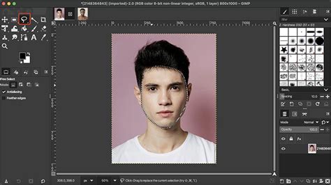 Face Swap Using GIMP 的图像结果