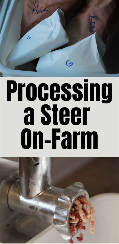 Image result for Beef Processing Process