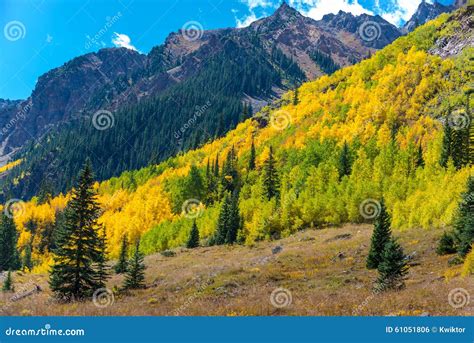 Colorado Fall Foliage Conundrum Hot Springs Trail Stock Photo - Image ...