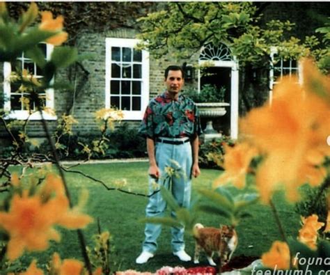 Freddie Mercury's beautiful last photos at home contain two hidden ...