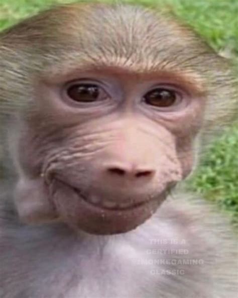 Pubert Cornwallace the 7th : r/ape