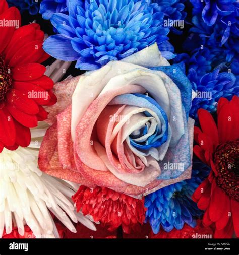 Red White And Blue Flowers Clipart at Jordan Biddle blog