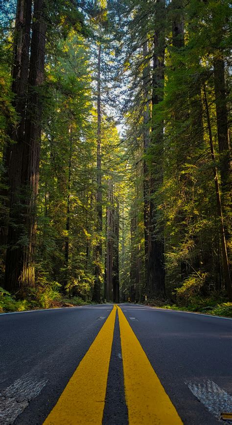 4k Vertical Wallpapers Photos, Download The BEST Free 4k Vertical ...