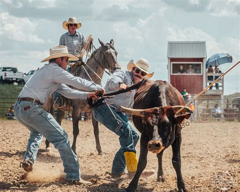Platte County Ranch Rodeo & Ranch Saddle Bronc Riding, Fairgrounds In ...