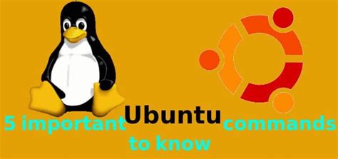 Ubuntu Linux Commands 的图像结果