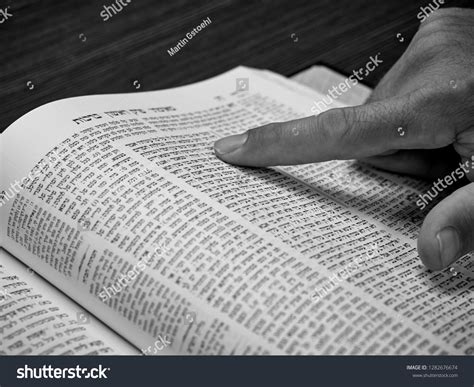 Image result for Torah Commentary