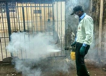 3 Best Pest Control Services in Mumbai, MH - ThreeBestRated