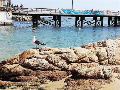 CALETA EL QUISCO (2025) All You Need to Know BEFORE You Go (with Photos ...