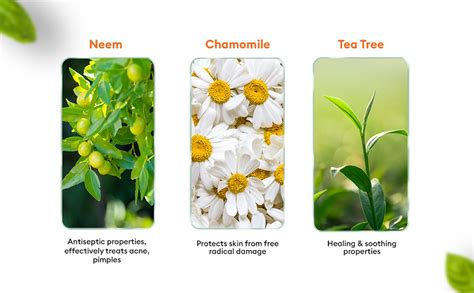 VLCC Neem Face Wash, 150 ml ( Buy 1 Get 1 Free ) | Uses, Benefits ...