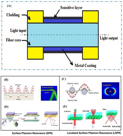 A Review on Optical Biosensors for Monitoring of Uric Acid and Blood ...