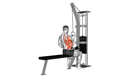Cable One Arm Lat Pulldown: Ultimate Guide & Tips