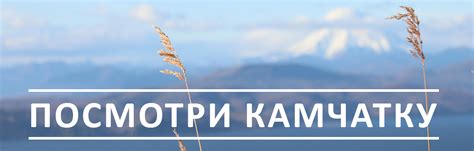 Клуб... - Клуб Клетка. Квесты в реальности на Камчатке.