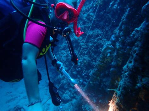 KARTELIAS DIVE CENTER (2026) All You Need to Know BEFORE You Go (with ...