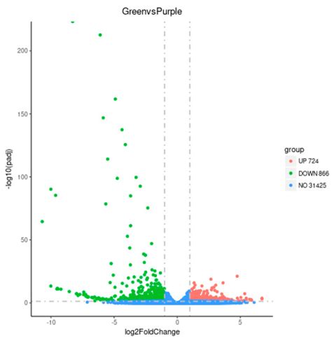 Transcriptome and Metabolome Profiling to Explore the Causes of Purple ...