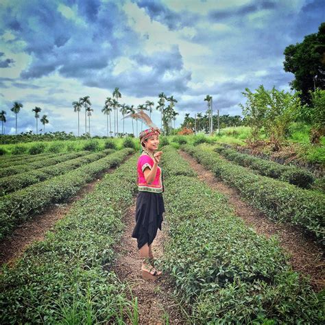 WUHE CHA YUAN PRINCESS COFFEE (2025) All You Need to Know BEFORE You Go ...