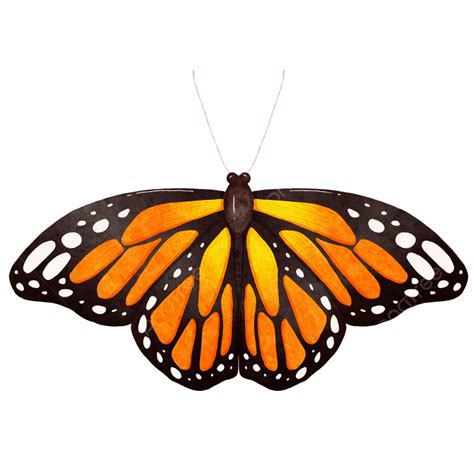 Blue Monarch Butterfly Clipart Vector, Watercolor Monarch Butterfly ...