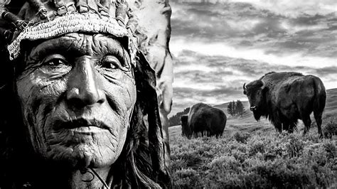 Image result for How Many Native American Before