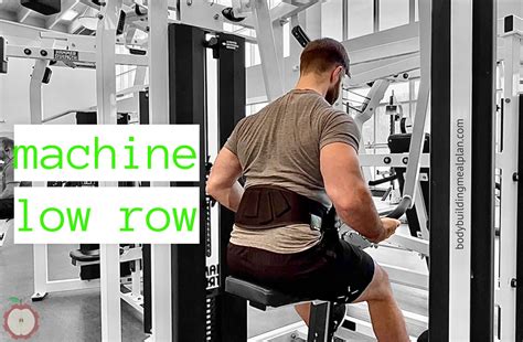 Image result for Back Workout Machine