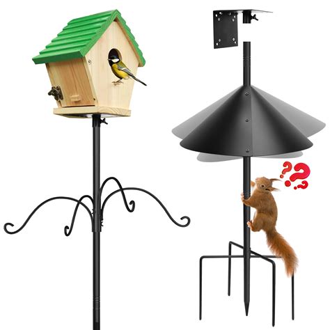 Amazon.com : Bird Feeder Pole,Bird House Pole Mount Kit with Squirrel ...
