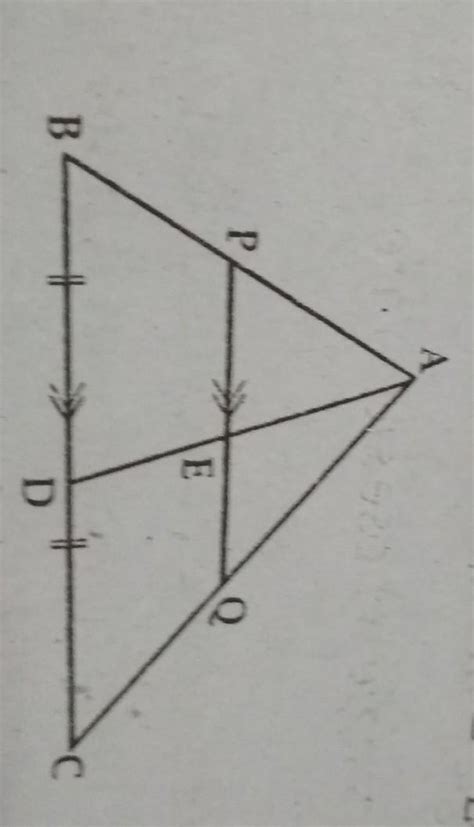 In ABC, PQ || BC and BD = DC. Prove that PE = EQ. - Brainly.in