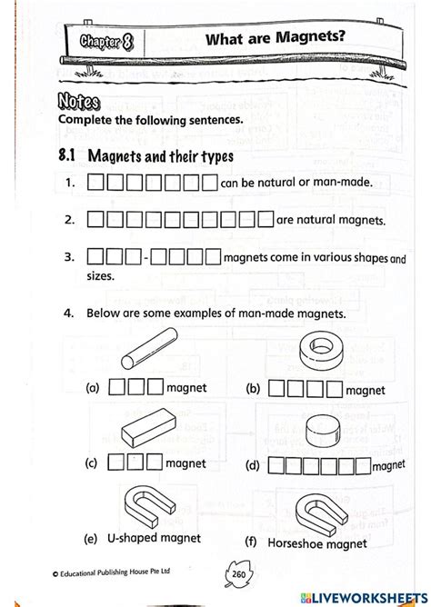 Image result for Printable Magnet Worksheet
