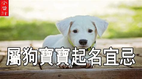 十二生肖 狗设计图__传统文化_文化艺术_设计图库_昵图网nipic.com